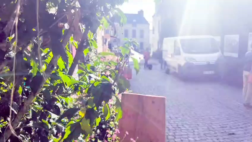 La maison Bleue